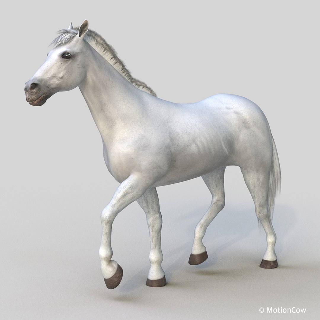 3D horse pro 4 1 https://p.turbosquid.com/ts-thumb/5I/DAs8LJ/vgXffk0I/white_horse_prod/jpg/1552278520/1920x1080/fit_q87/8a6bbcbc07f2b0082650bfce6d2d2ab5225c42f8/white_horse_prod.jpg