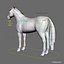 Horses PRO - 4 in 1 Bundle