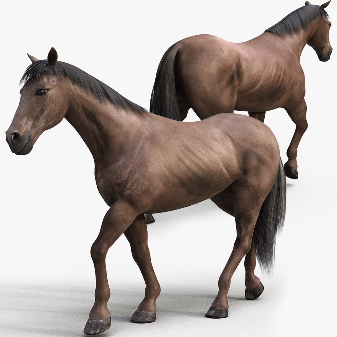 3D horse pro 4 1 https://p.turbosquid.com/ts-thumb/5I/DAs8LJ/y23UUPAI/darkbrown_horse_pro2/jpg/1554709251/1920x1080/fit_q87/d63b03e0875ddbeb67c4120433b11e008a68e3f2/darkbrown_horse_pro2.jpg
