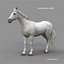 Horses PRO - 4 in 1 Bundle