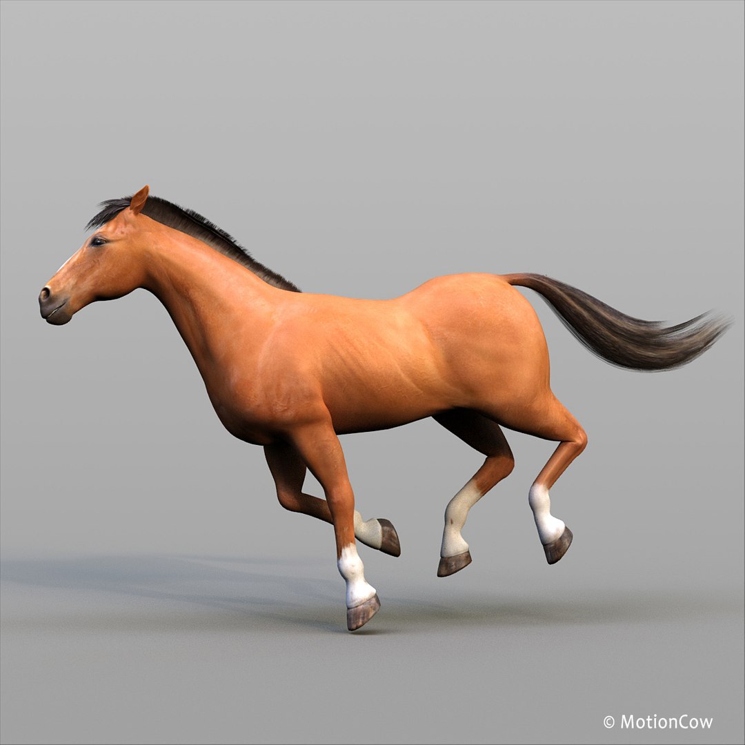 3D horse pro 4 1 https://p.turbosquid.com/ts-thumb/5I/DAs8LJ/yz8KKArc/brown_horse_proc1/jpg/1554456980/1920x1080/fit_q87/3eb31087e22e193b1ddd0477a42c84d944ff57aa/brown_horse_proc1.jpg