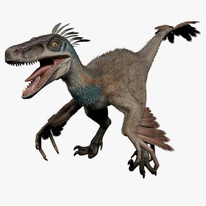 3D Velociraptor