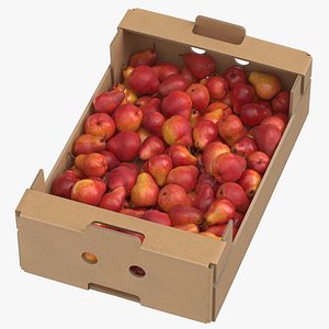 3D william pear box model