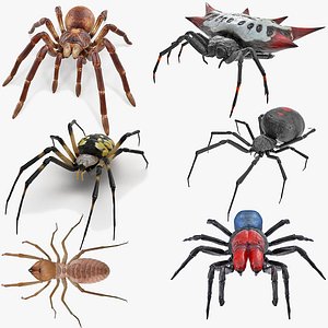 Rigged Spiders Collection 2 for Cinema 4D