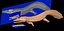 Trematosaurus brauni