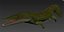 Trematosaurus brauni