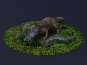 animal platypus duck otter 3D model