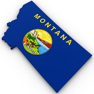Montana Political Map