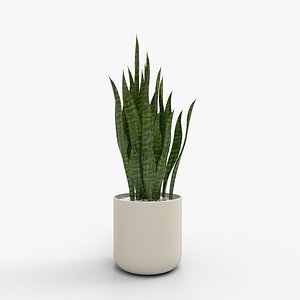 3D Artificial Snake Plant Plantin Planter model