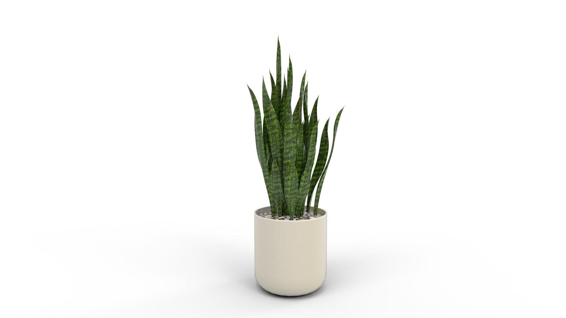 3D Artificial Snake Plant Plantin Planter model https://p.turbosquid.com/ts-thumb/5J/FxRpau/9T/artificialsnakeplantplantinplanter03/jpg/1758284557/1920x1080/fit_q87/88b0a7ad417f5005ce8cd9ac18ba7faa935ad798/artificialsnakeplantplantinplanter03.jpg