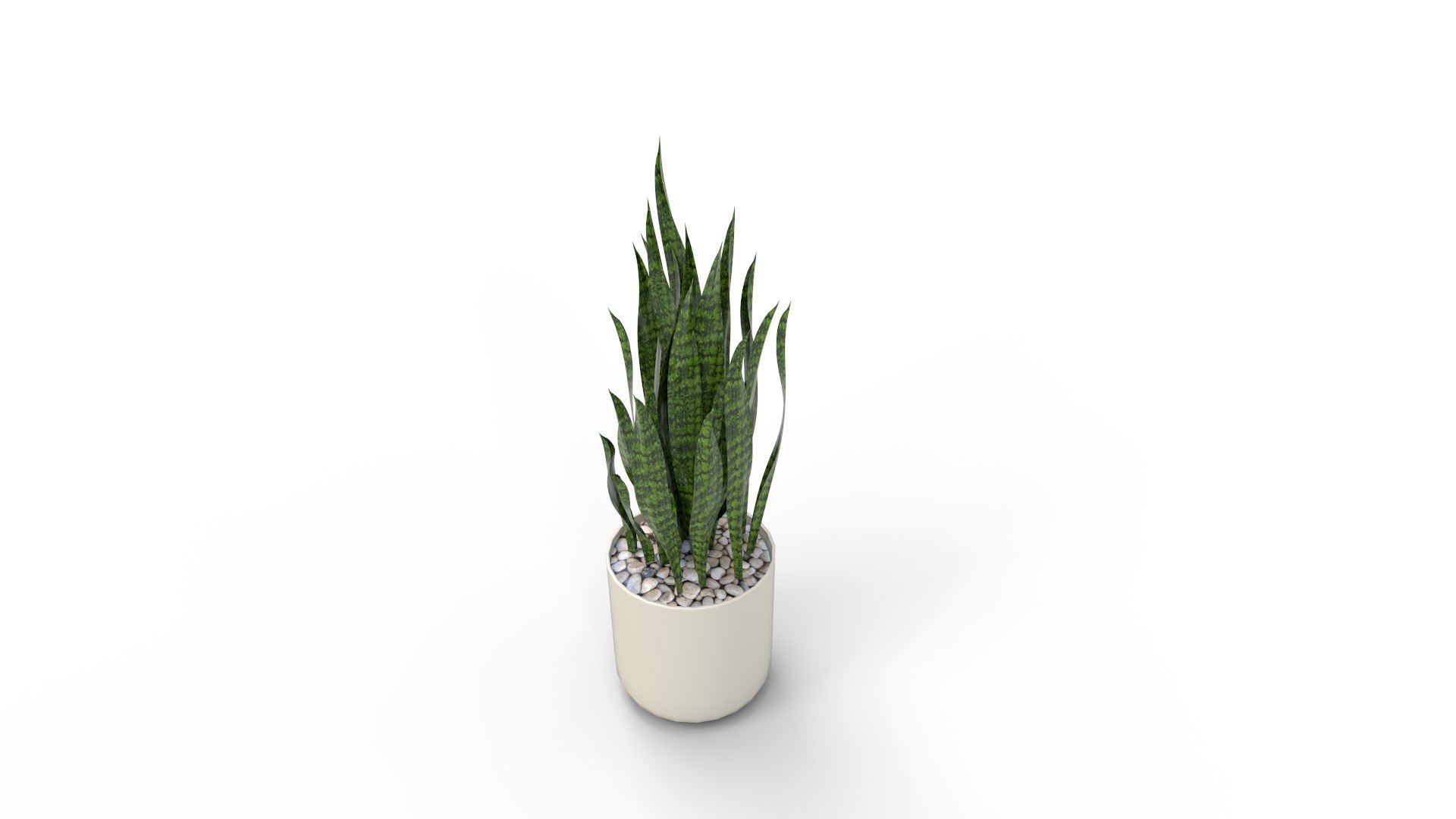 3D Artificial Snake Plant Plantin Planter model https://p.turbosquid.com/ts-thumb/5J/FxRpau/Et/artificialsnakeplantplantinplanter05/jpg/1758284558/1920x1080/fit_q87/02f4dd67d13e74490f3d2ddbb66f72c12e791832/artificialsnakeplantplantinplanter05.jpg