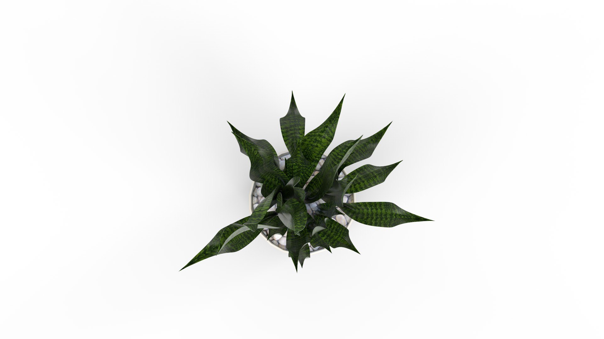 3D Artificial Snake Plant Plantin Planter model https://p.turbosquid.com/ts-thumb/5J/FxRpau/YE/artificialsnakeplantplantinplanter07/jpg/1758284559/1920x1080/fit_q87/1e6f97eb4e5b06857ed76e93f6503fe5714a5b89/artificialsnakeplantplantinplanter07.jpg