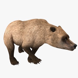 3d model of grizzly bear pose 4