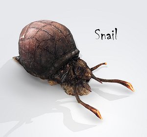 Snail