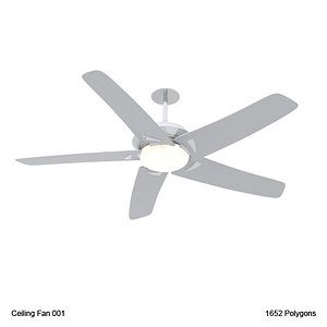 Ceiling Fan 001