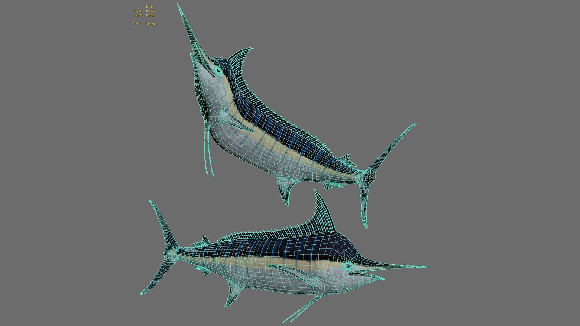Marlin fish 3D - TurboSquid 2145935