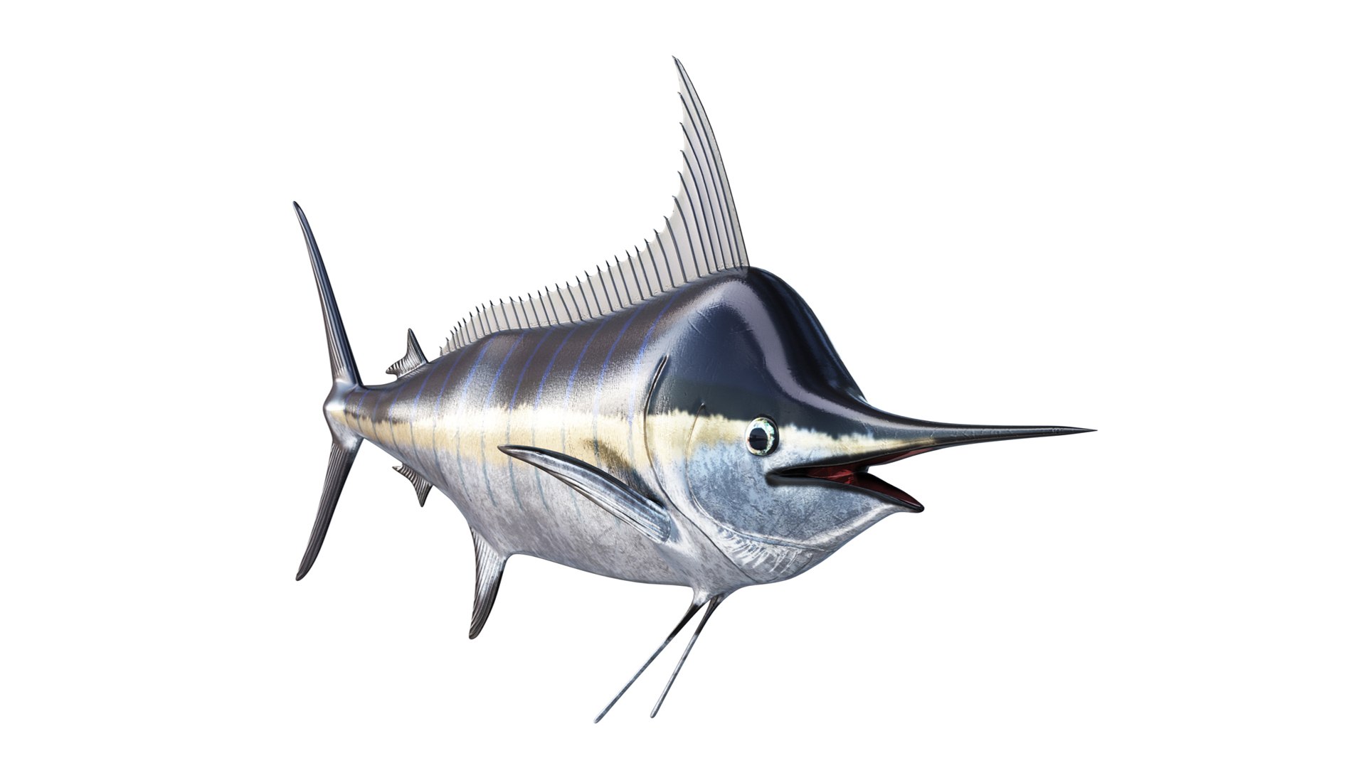 Marlin fish 3D - TurboSquid 2145935