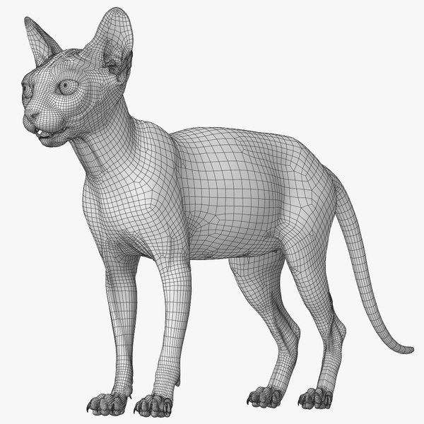 https://p.turbosquid.com/ts-thumb/5J/u3Uiad/0GI0LT6J/sphynx_wireframe_02/png/1556029370/600x600/fit_q87/b16977381e82f75d9c3c428715879b1a13a7fb65/sphynx_wireframe_02.jpg