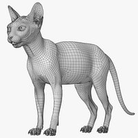Sphynx Lowpoly