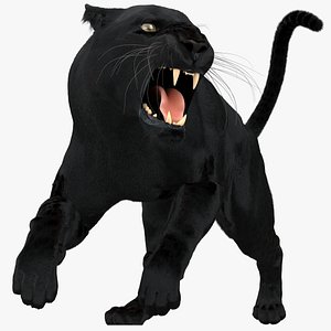 3D model black panther fur