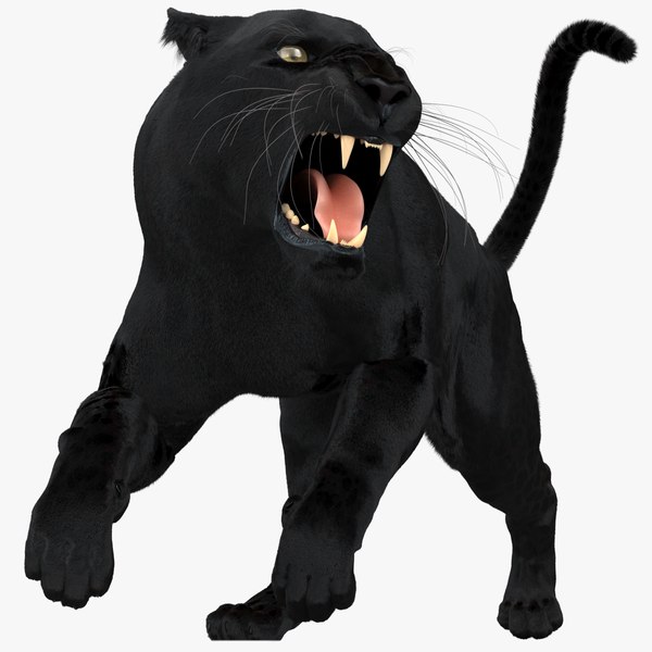 Pantera Negra (Pele Animada-Animada) Modelo 3D - TurboSquid 1433332