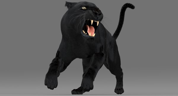 Pantera Negra (Pele Animada-Animada) Modelo 3D - TurboSquid 1433332