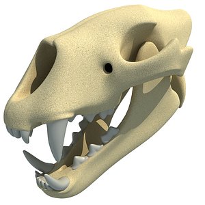 max lion skull