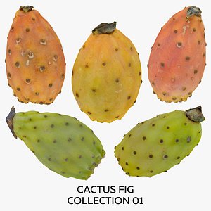 Cactus Fig Collection 01 - 5 models RAW Scans 3D model