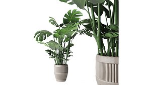 Collection plant vol 4 3D model
