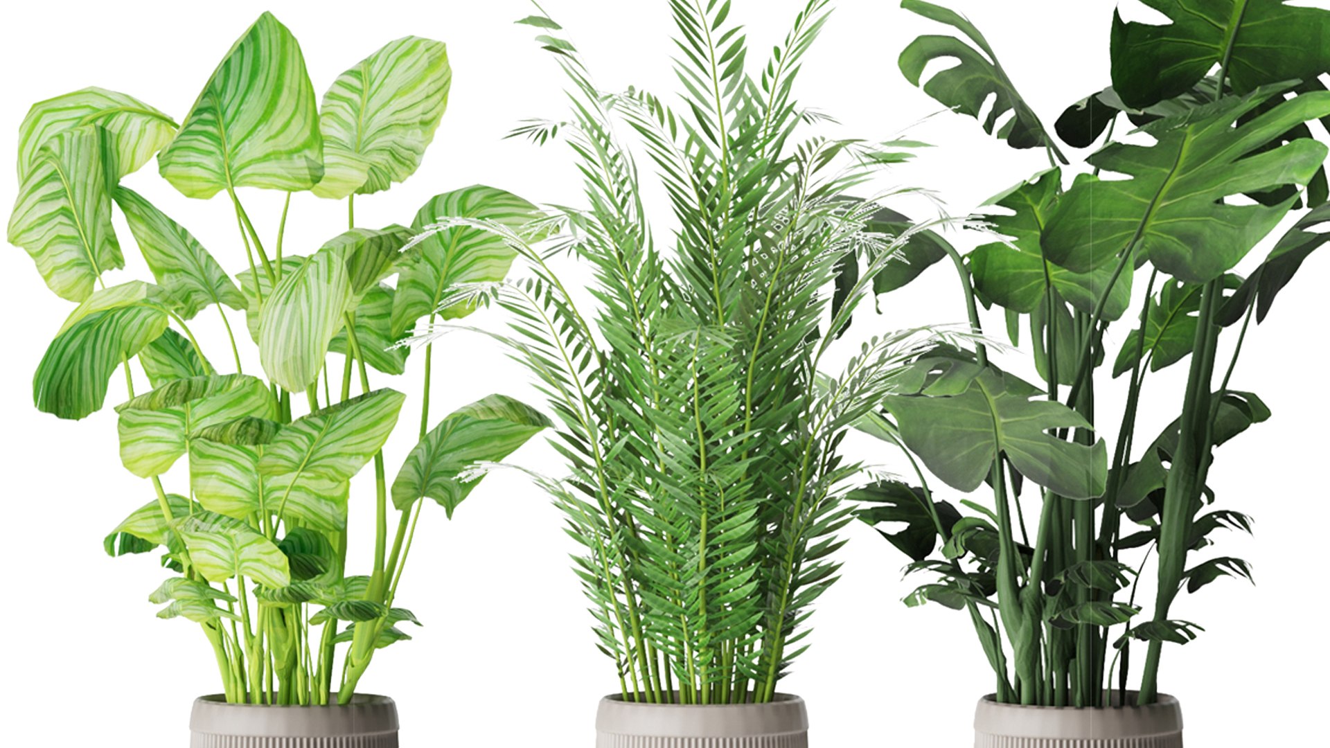 Collection plant vol 4 3D model https://p.turbosquid.com/ts-thumb/5K/IH8Qdb/Pi/5/jpg/1646509982/1920x1080/fit_q87/3b6865c60ff33605846e831787a19a539e961a73/5.jpg
