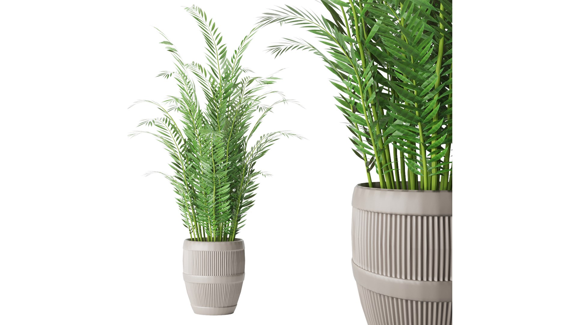 Collection plant vol 4 3D model https://p.turbosquid.com/ts-thumb/5K/IH8Qdb/QX/4/jpg/1646509438/1920x1080/fit_q87/0a4dccb2619ae9110b61b9ec76e92f60714b5388/4.jpg