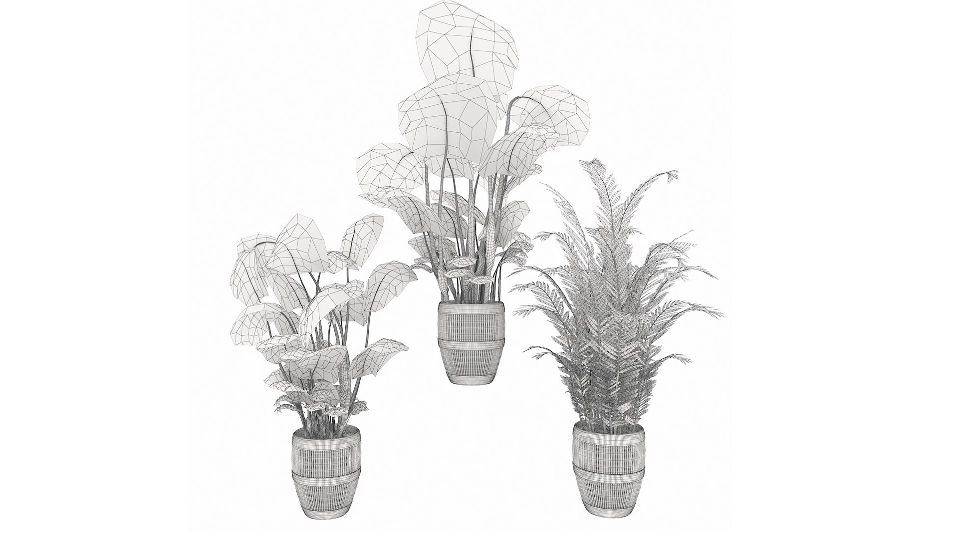 Collection plant vol 4 3D model https://p.turbosquid.com/ts-thumb/5K/IH8Qdb/Yc/7/jpg/1646509802/1920x1080/fit_q87/9e580b233fad91f0bc295ad2f03af41847eb4c1f/7.jpg