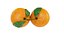 Tangerines in white bowl