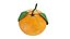 Tangerines in white bowl