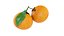 Tangerines in white bowl
