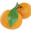 Tangerines in white bowl