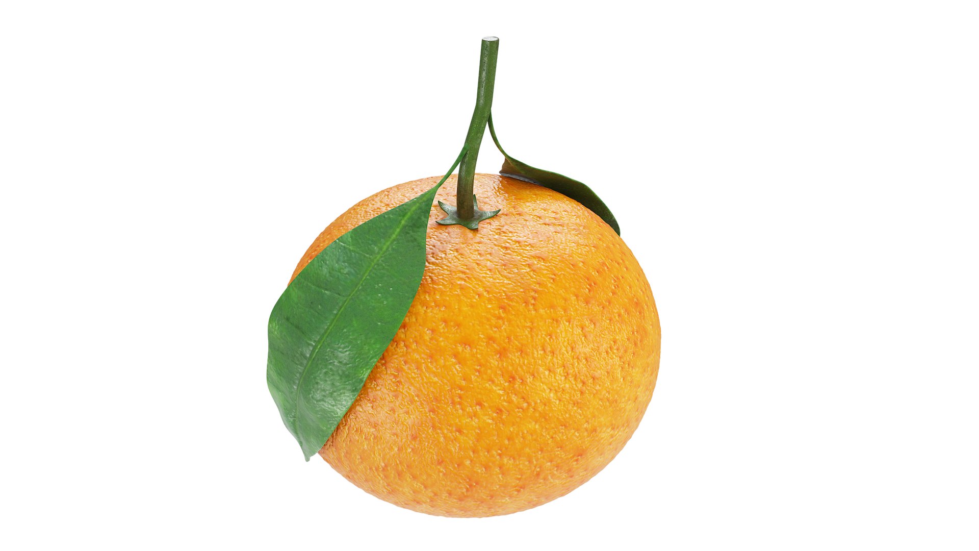 3D Tangerines in white bowl model https://p.turbosquid.com/ts-thumb/5K/SvVAEI/iC/36/png/1660605928/1920x1080/fit_q87/c39b3e11ad6e62472c56c4a2c6c918ced44d022e/36.jpg