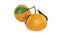 Tangerines in white bowl