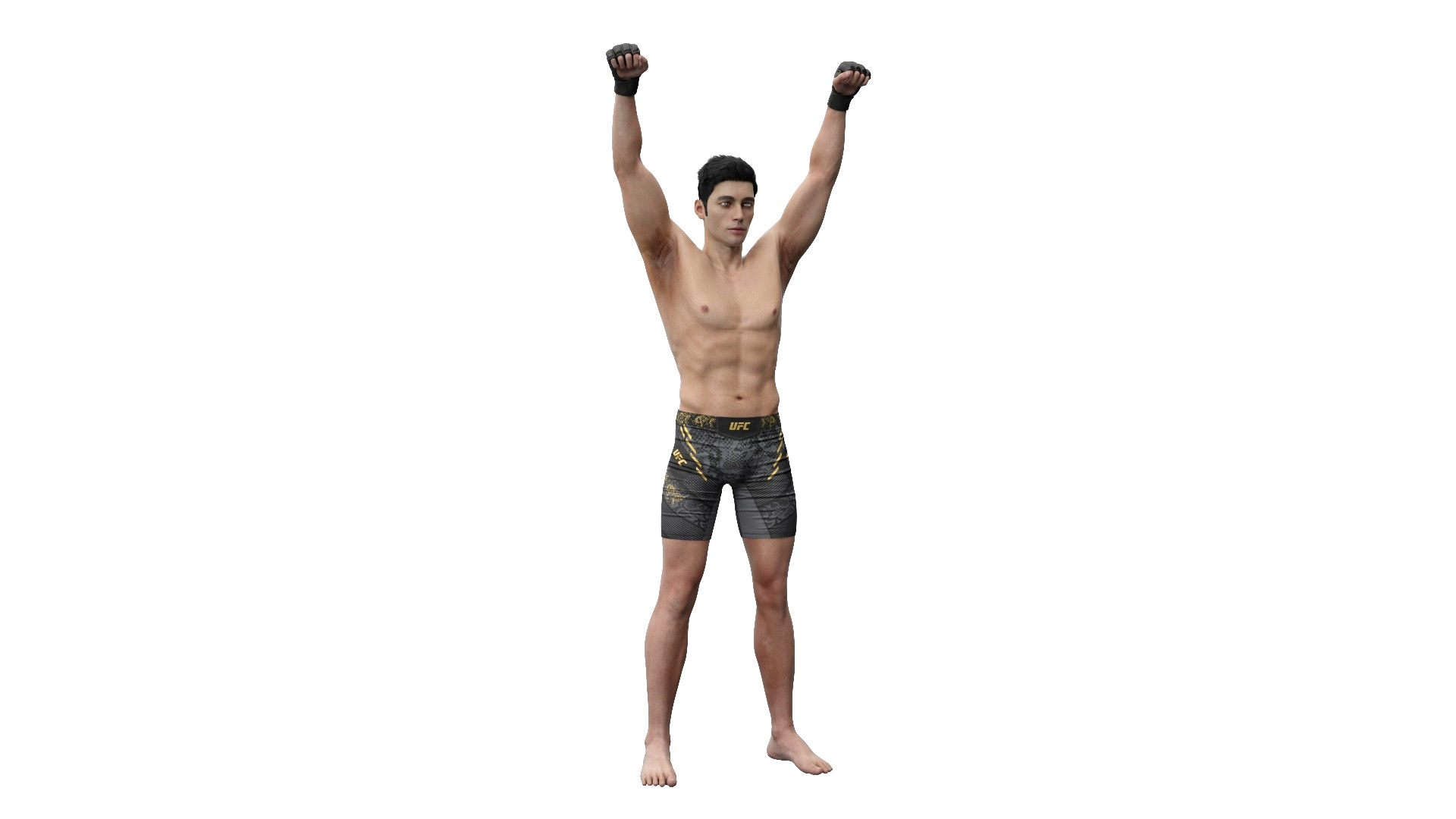 UFC MMA Fighter In Victory Pose Fur Model - TurboSquid 2334152