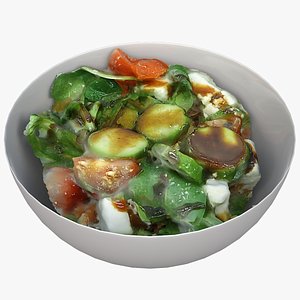 bowl salad model