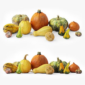 Pumpkins Set4 3D model