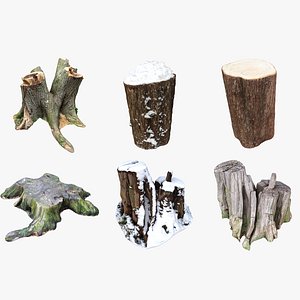 3D tree stump model