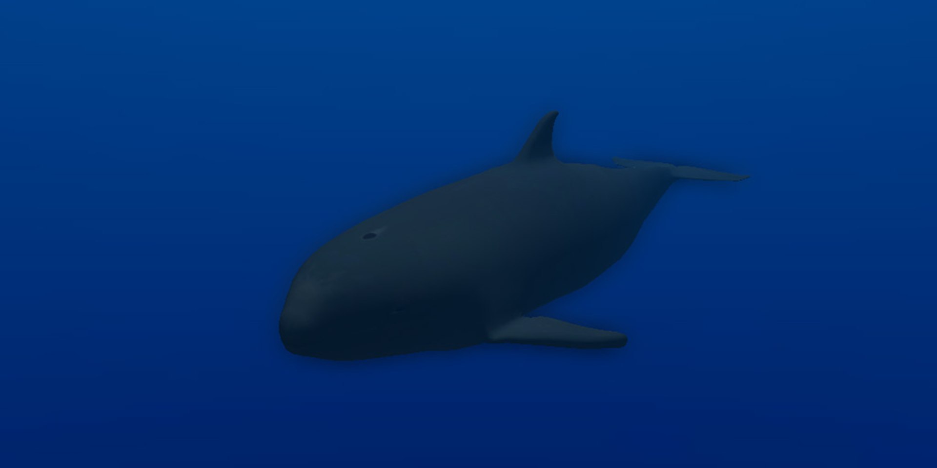 animal sea 3ds https://p.turbosquid.com/ts-thumb/5K/lSkx67/5ch8EUuT/04/jpg/1403782407/1920x1080/fit_q87/5d04480857141ffcfabf46e067ccfe3ebc750213/04.jpg