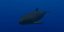 Rigged Sea Animals II