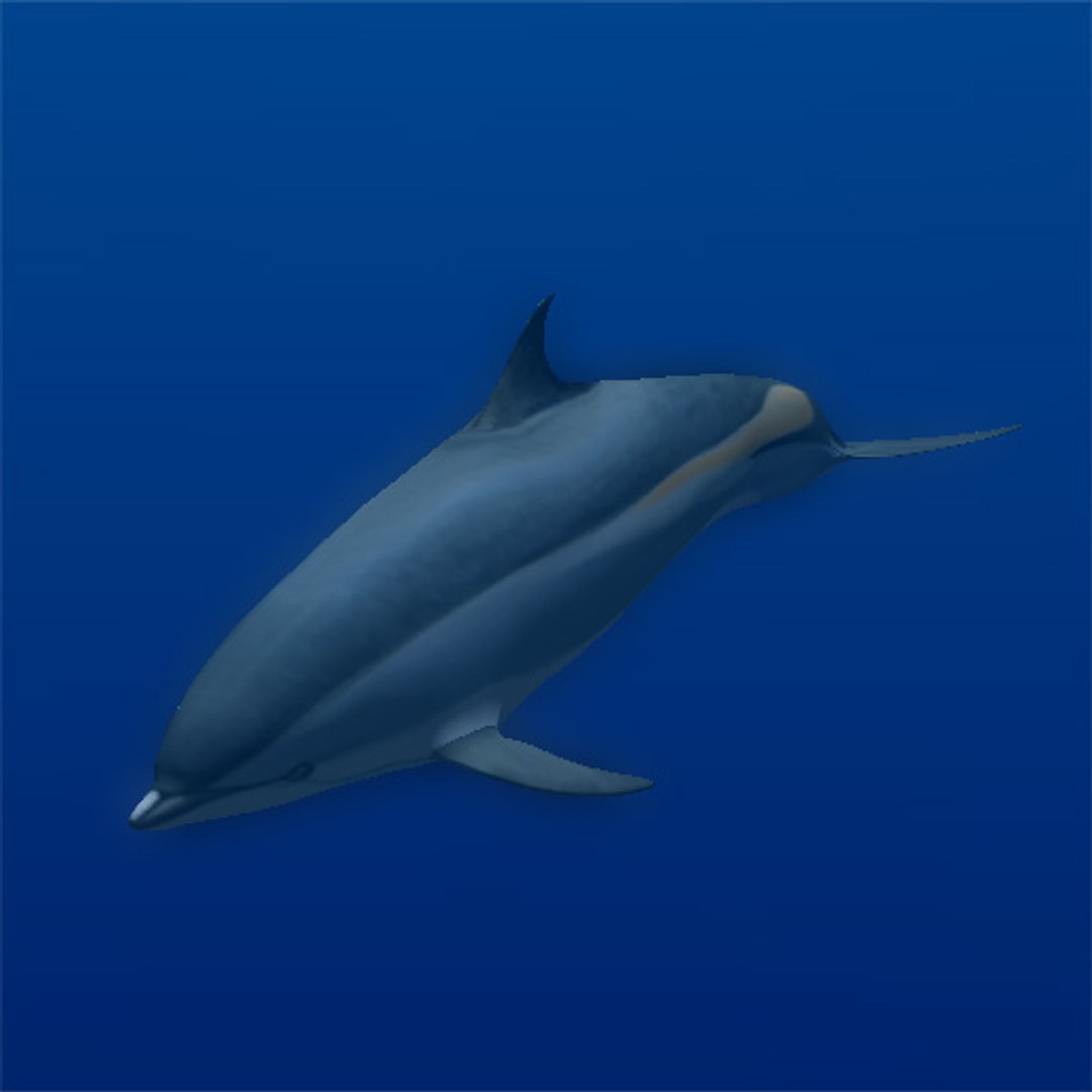 animal sea 3ds https://p.turbosquid.com/ts-thumb/5K/lSkx67/7iy6dvV0/02/jpg/1403782407/1920x1080/fit_q87/b4226132d39c71112ece656b939242de1fdc618a/02.jpg