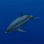 Rigged Sea Animals II