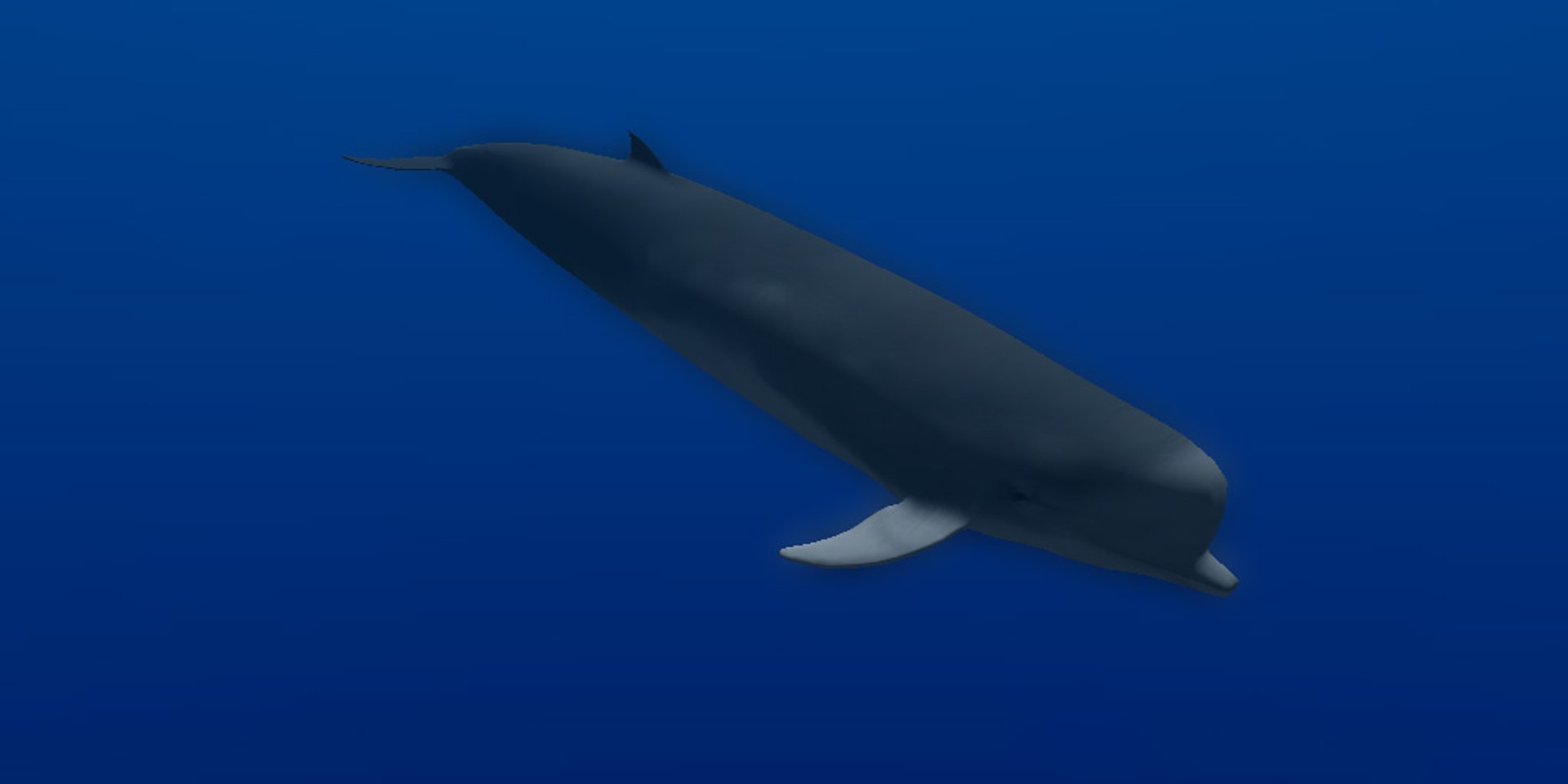 animal sea 3ds https://p.turbosquid.com/ts-thumb/5K/lSkx67/Y3FrPkO5/05/jpg/1403782407/1920x1080/fit_q87/f4f2dcab57401e8687c65671aa3ba8059cd1b136/05.jpg