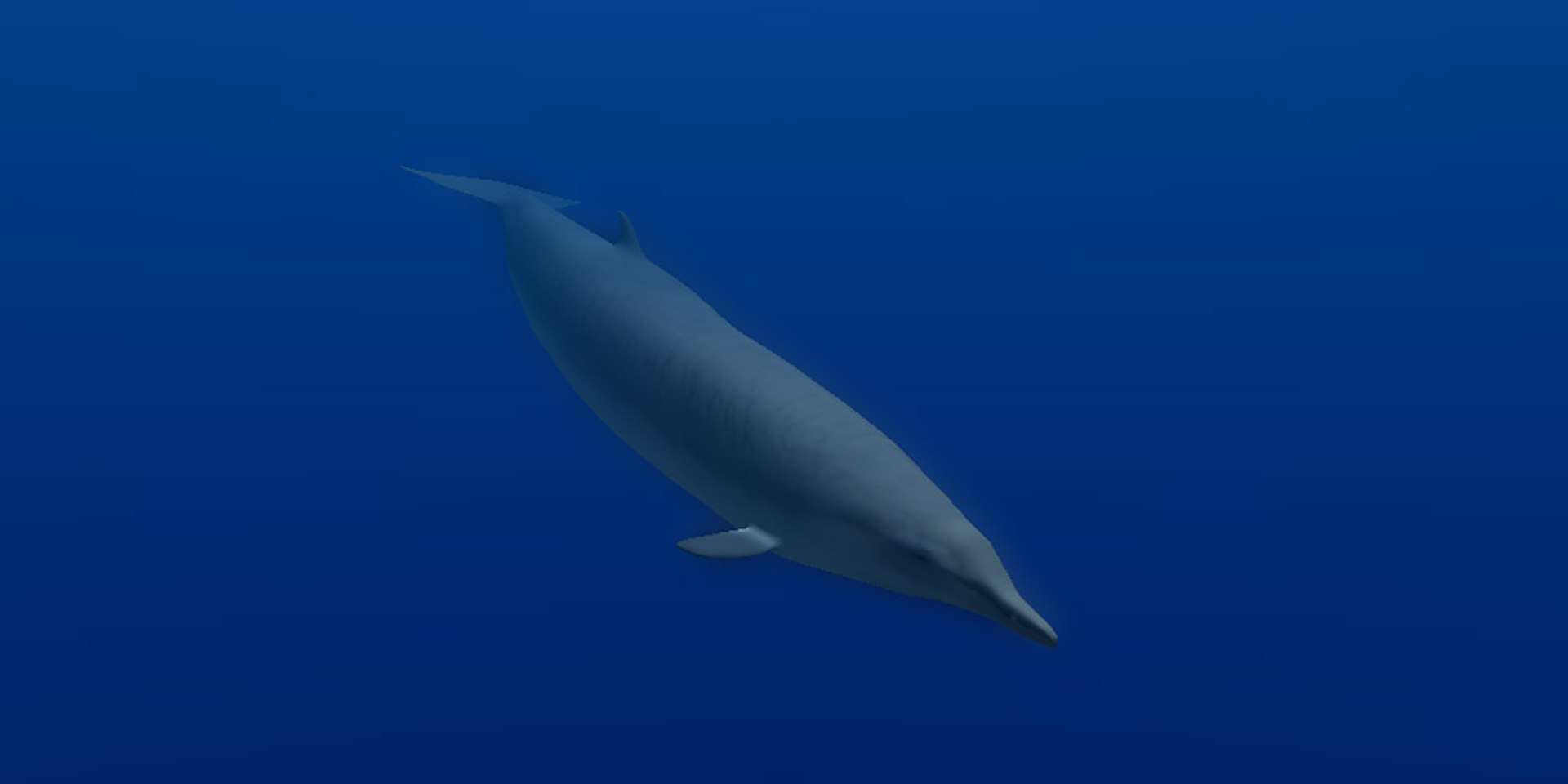 animal sea 3ds https://p.turbosquid.com/ts-thumb/5K/lSkx67/Y3oqNciL/08/jpg/1403782407/1920x1080/fit_q87/f5292cef9d3a42fdf0be4a4d371411d68a3802f2/08.jpg