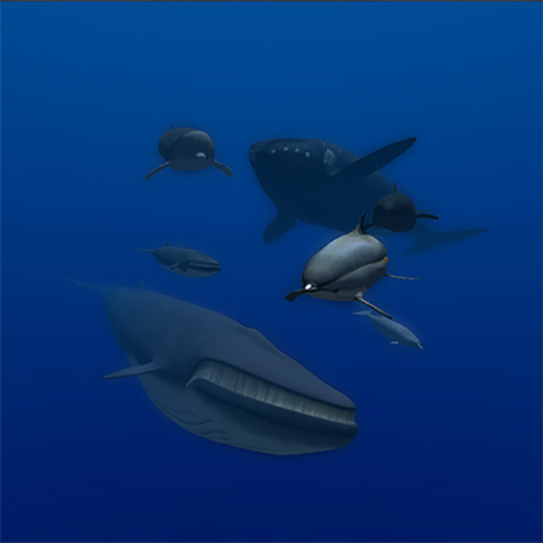 animal sea 3ds https://p.turbosquid.com/ts-thumb/5K/lSkx67/Y5YDKISY/01/jpg/1403782407/1920x1080/fit_q87/71fc90a69027449a041eff058f1fa91c3703daf4/01.jpg