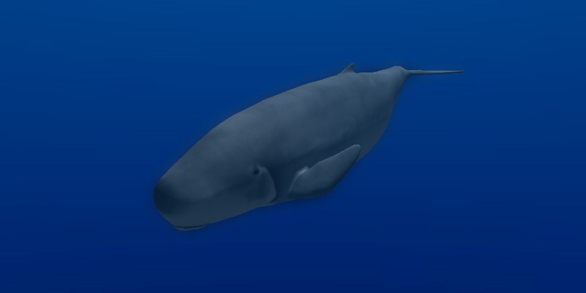 animal sea 3ds https://p.turbosquid.com/ts-thumb/5K/lSkx67/agrxLwmE/10/jpg/1403782407/1920x1080/fit_q87/ddc05ea8c03861d7623374312396dc6e9bed4f13/10.jpg